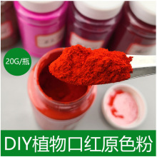 跨境20g口红色粉Lipstick Powder唇彩纯手工制作DIY化妆品口红粉