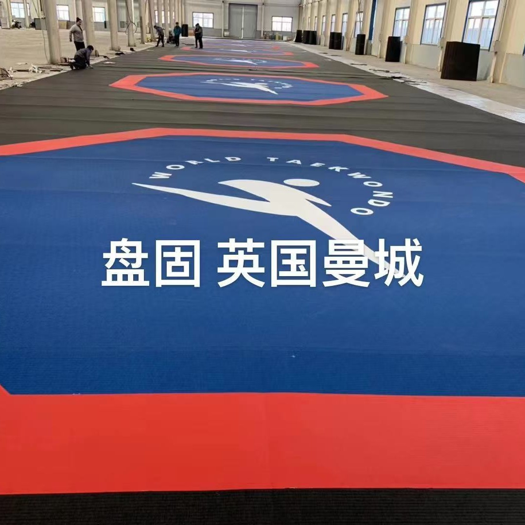 Multifunctional Sports Roll Mat Fighting Brazilian Jiu-Jitsu Wrestling Mat Martial Arts Gymnastics Mat Muay Thai Floor Mat Training Mat