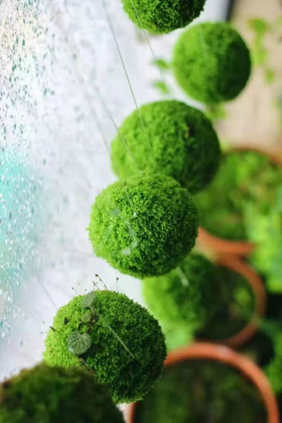 5555