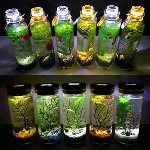 Noodles Creative Water Changing Dou Fish Glass Tank Landscaping DIY Ecological Bottle Micro Landscape Free Ornamental Fish Aquarium Office Ling Che
