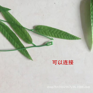 ����l�b��~���l1.8�� ���������~ �������l ���~�����滨�ٻ�