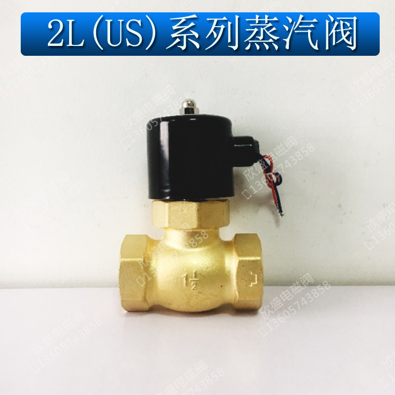 2L(US)系列二位二通先导针式活塞式高温蒸汽电磁阀全铜