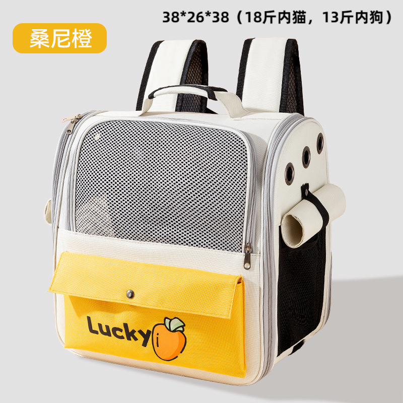 Orange backpack