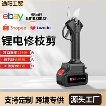 늄Ӽ����늼���֦���ʽ��y�@�ֹ�����֦������늼��Ӹ�֦��