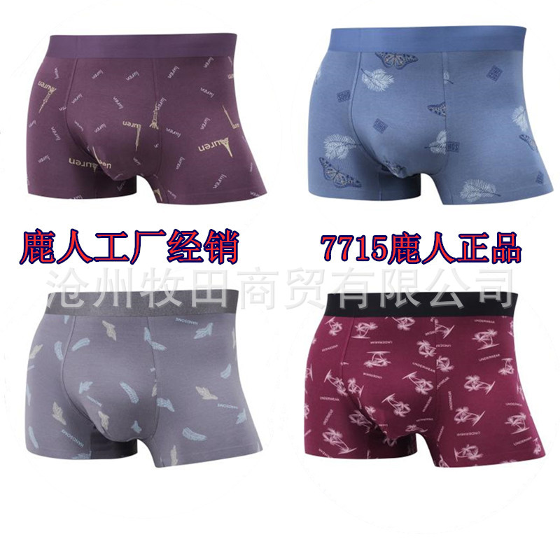 Deer 7715 man Underwear Flat angle style Free Post]