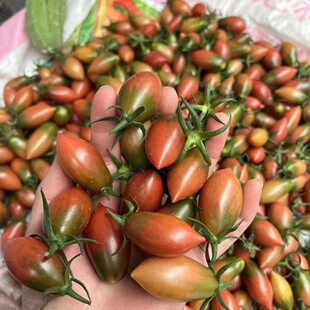 ���r��ժ�����Ϗ��^С���Ѯ����߲�ˮ���ӏ��^���Ѱ��]һ�����l