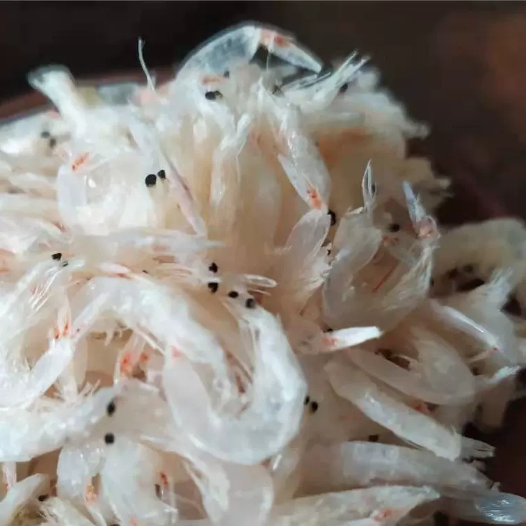 山东鲁滨海产  原产地海鲜 调味料 源头 工厂 直供 批发 虾皮 鲜