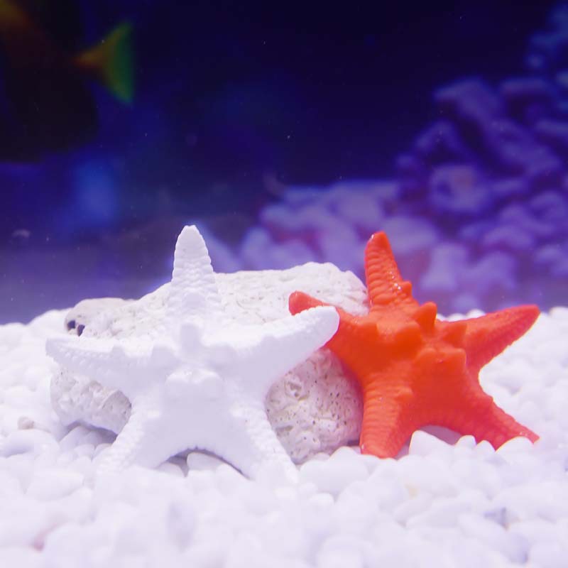Estrella de mar irrompiable Pecera de PVC Acuario Decoración de paisajismo Bawang Pan blanco Decoración de coral submarino Escenografía Decoración de bricolaje