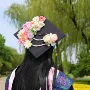 拍照毕业学士帽仿真花发饰品
