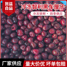 冷冻智利黑车厘子无核果肉榨汁奶茶甜品果酱茶饮烘焙原料速冻水果