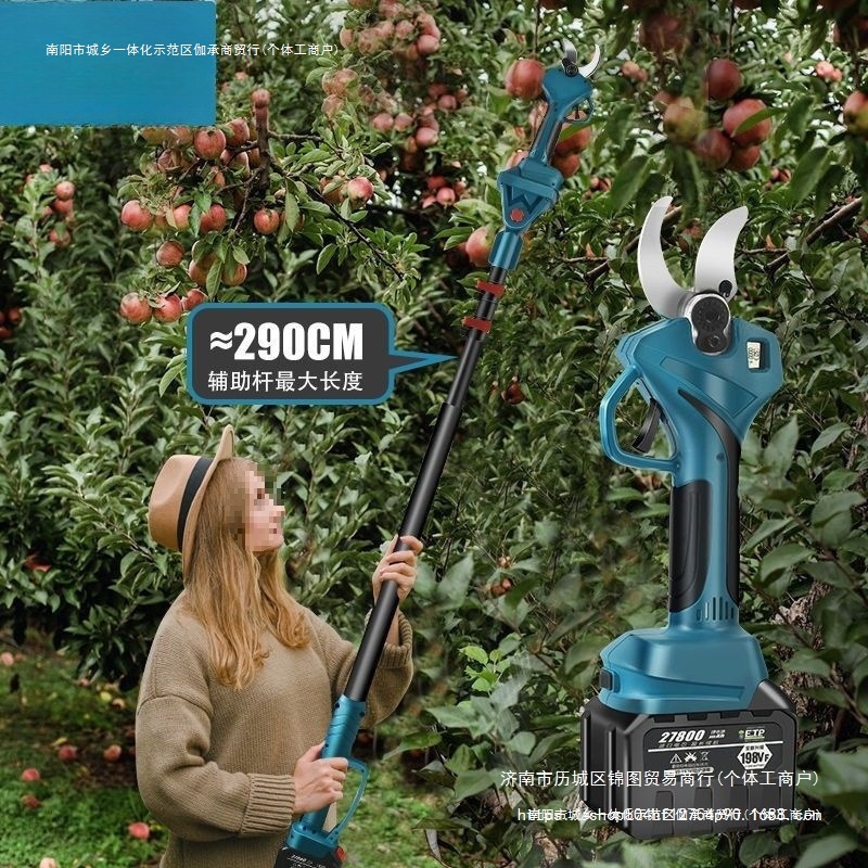 剪充电式加长锂电进口树枝果树电动剪刀德国高枝剪无线修枝剪其他
