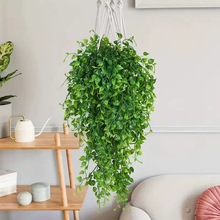 �羳����Gֲ�ٗl�ڒ�45Ŀ�G�}�O���~������Ƶ��c���m�b�����