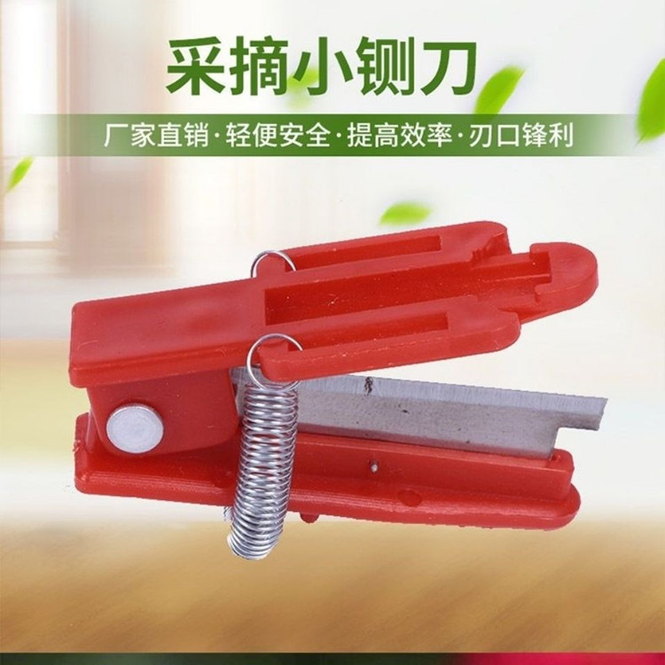 厂家直销蔬菜瓜果戒指刀指尖辣椒采摘小铡刀黄瓜西红柿打岔去叶器