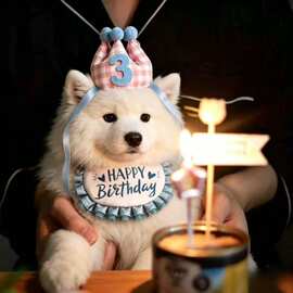 宠物狗狗生日皇冠帽子头套宠物可爱拍照道具装饰场景布置猫小型犬