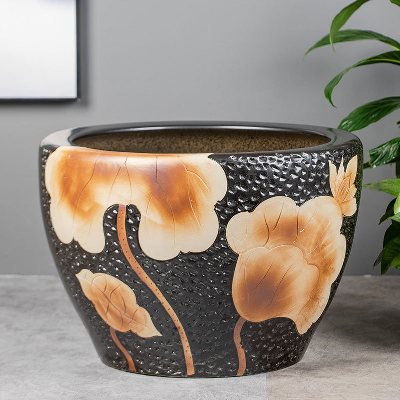 մɴ׹ŷڹɻ˯׹˾ͥԺڼˮ