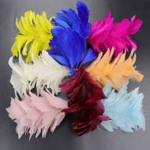 �S��ֱ���¿ɫ�Zë�^��b�Y���b������̨������ë�l��^��