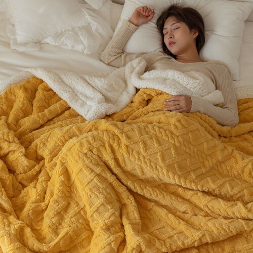 Thickened taffeta casual blanket, lambswool blanket, internet celebrity cross-border blanket, simple solid color gift blanket