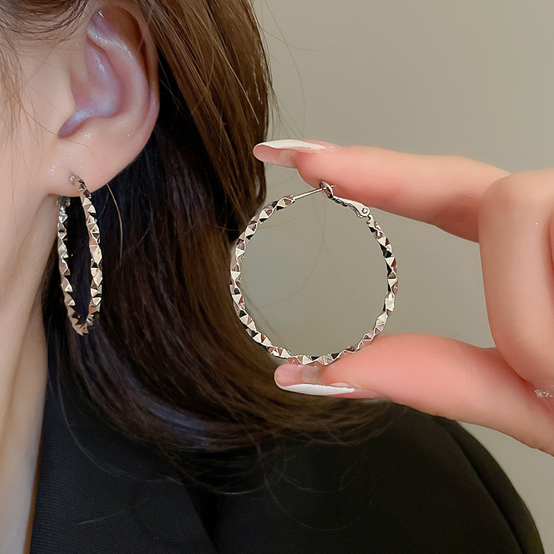 Pendientes ovalados simples de aguja de plata Pendientes de tendencia de personalidad transfronteriza europea y americana Pendientes de diseño de todo fósforo de nicho al por mayor