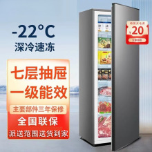 小冰箱冰柜箱小型冷柜家用速冻立式全冷冻柜单门省电抽屉式非无霜