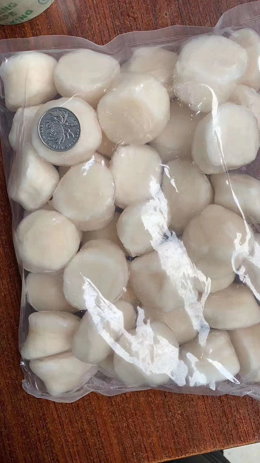 2020_10_17_12_18_IMG_9134