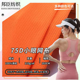 75D轻薄小孔网眼针织布料110g全涤鸟眼布速干T恤健身运动透气面料