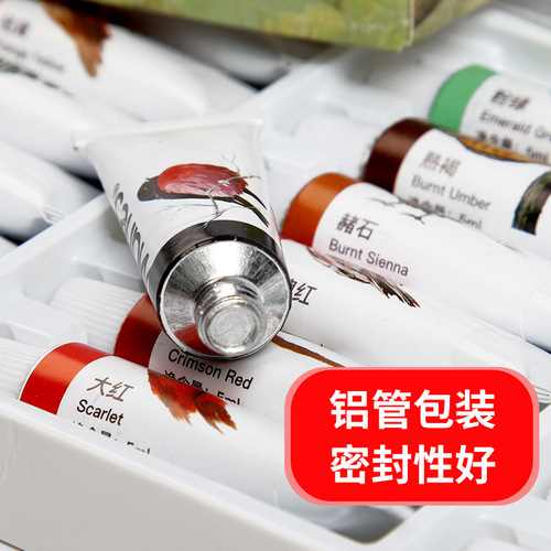 Acrylic Paint Set 12 Colors 18 Colors 24 Colors 36 Colors DIY Waterproof Wall Painting Art Paint