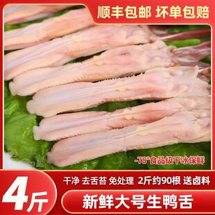 �������r��؛��������r�������^�����uζ�������ɢ�b��ʳ���l