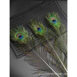 �F؛���l40-50cm��ȸ��ëdiy������۾���ȸë�ֹ��Ʒ�廨��ë