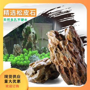 Natural Pine Bark Stone Raw Stone Porous Aquatic Plant Tank Fish Tank Garden Micro Landscape Rockery Landscaping Decorative Stone Keel Stone
