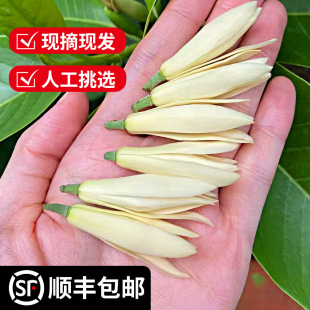 ���m���r�����m�����r��ժ�Fժ�Ļ��仨���S���m�S���m�����m�r��