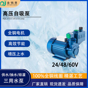 �ߓP��24v�����ßo������ˮ��ˮ48/60v�������Ź�ߘǹ�ˮ��ˮ��