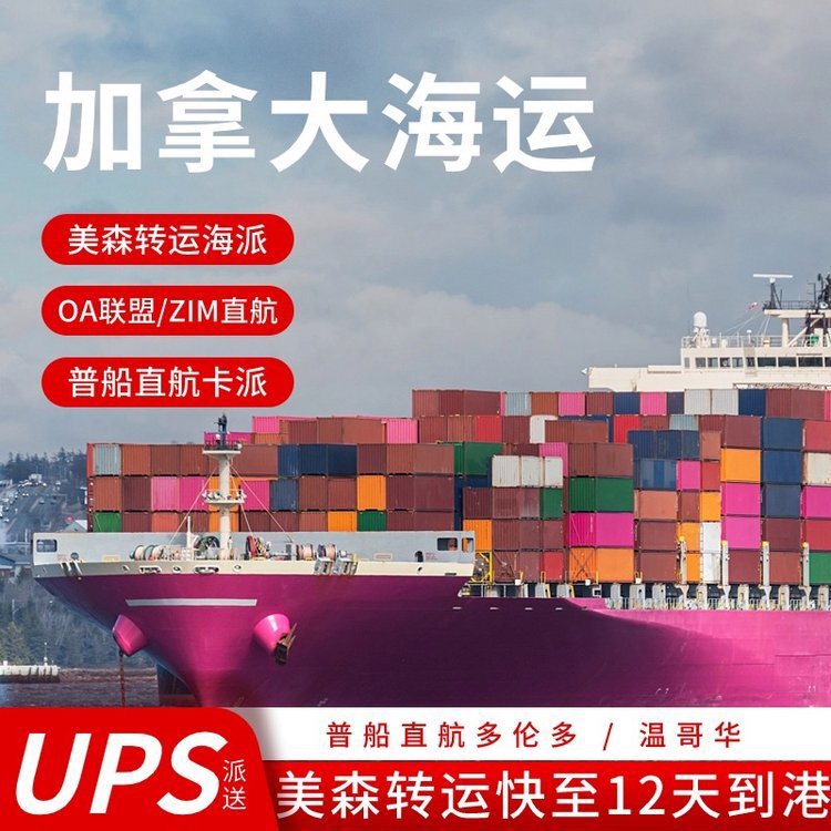 International Logistics, Double-Clearance, Tax-Included, Oversized Carton Special Goods Consolidation, Freight Collection, Canada, Italy Dedicated Line