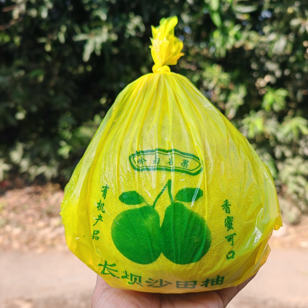 [No contiene pomelo] Embalaje tres carne roja pomelo Majia pomelo fresco azúcar cristalino Shatian pomelo Meizhou Golden Pomelo bolsa de regalo