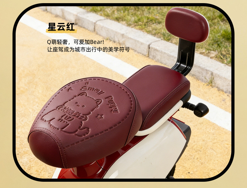 Simple Style Electric Vehicle Seat Cover, Waterproof and Sun-Proof, Suitable for Small Electric Bikes, Compatible with Yadea, Tailg, and Aima