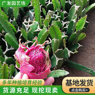 �t�ļt������������Ϸ������ļ��Nֲ�̨ͥԺ�҃���Nֲ����Y��