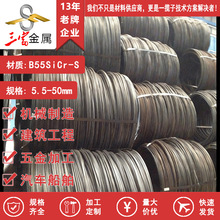 ���� ������䓬F؛B55SiCr-S ���䓾��� �P�A�� ����䓲�