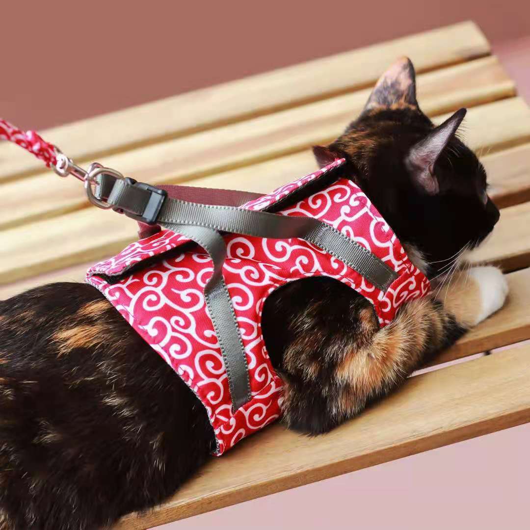 Шлейка для кошек синяя L