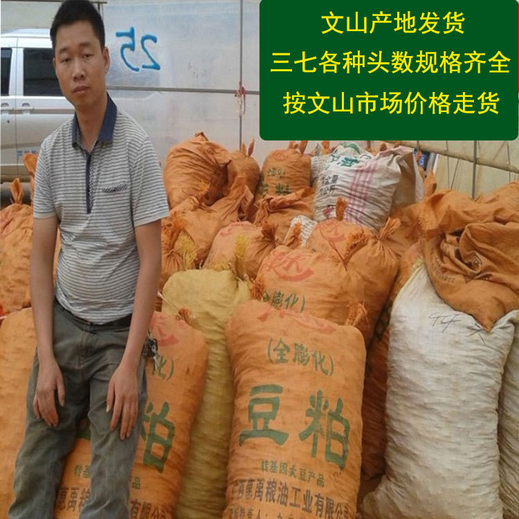 老麦文山三七 专批发云南文山春三七头 田七 三七粉文山产地药材