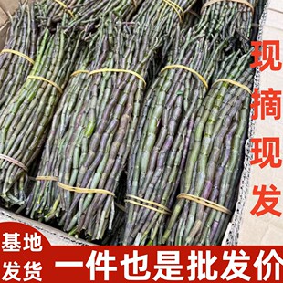 ��� ��ɽ�������FƤʯ���������r�l500�ˬF�ɬF�l�FƤ���rʯ��