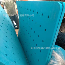 水上洞洞漂浮床 游泳漂浮打孔板EVA青蛙浮板  多种动物形状浮板