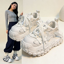 �W؛݆̥����ϵ�ЬŮ2026�ٴ�С�����������mϵ�����e�\��Ь��Ь