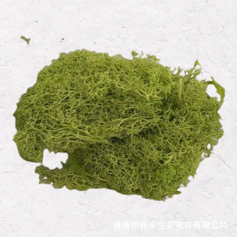 Yellow-green·Eternal Moss