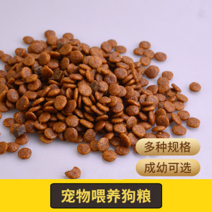 ����ι�B���Z�I�B�a���r��Ȯ�Z���l��Ȯ�ɪ{Ȯ��ëȮ����Ȯ�ߵ���