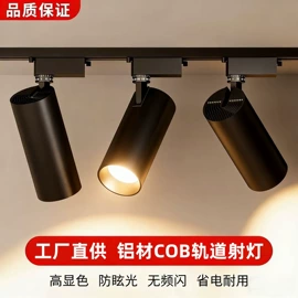 LED轨道灯;射灯;格栅灯