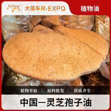 灵芝孢子植物油超临界CO2萃取原料批发按摩基础油护肤Ganoderma