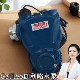 智能冷热水自吸泵 高温自吸泵 工业级自吸泵 易用