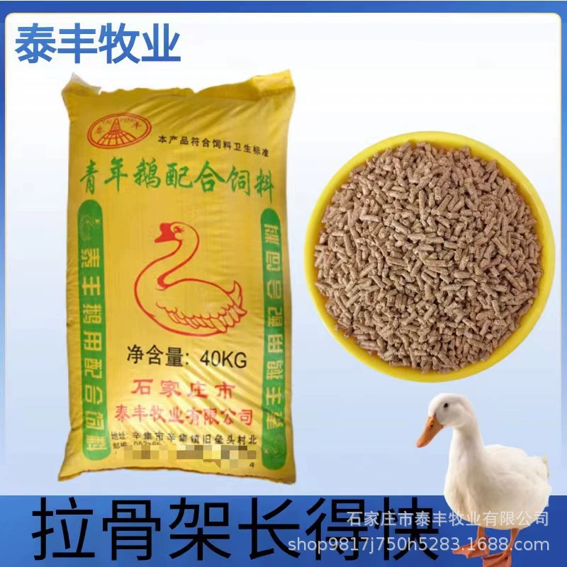 Мясной гуся молодой гуся с длительным периодом кормления