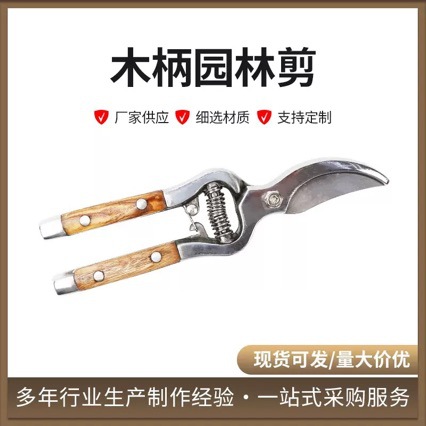 Berry&Bird花剪园艺剪刀花艺修枝剪叶家用园林花卉小盆栽果树