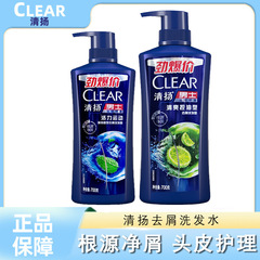 清扬洗发水700G清爽控油活力运动根源净屑蓬松持久留香洗发露