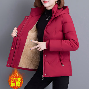 �tɫ�̿���q��Ů��2025�궬���¿�Ʒ�Ƽӽq�Ӻ����ꋌ�����b����